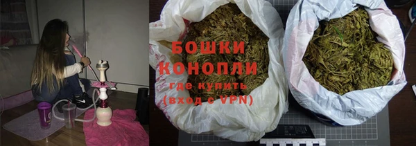 гашик Мегион