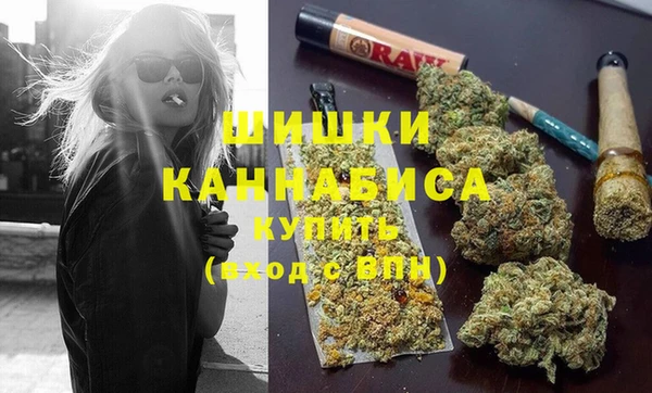гашик Мегион