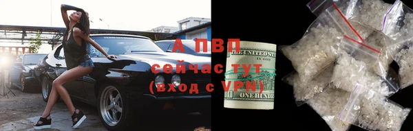 гашик Мегион