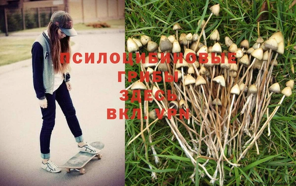 прущая мука Медвежьегорск