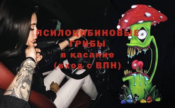 гашик Мегион