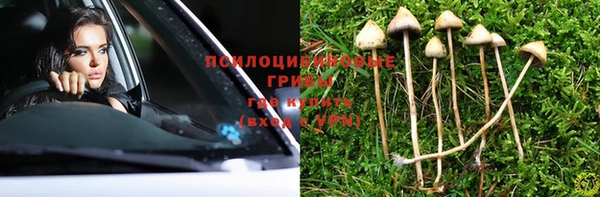 бошки Магас