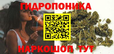 a pvp Волжский