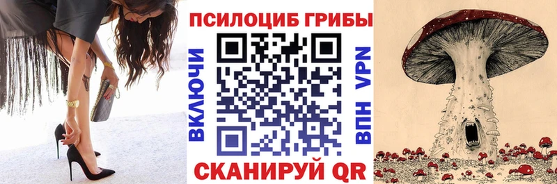 где купить наркоту  Избербаш  Галлюциногенные грибы мухоморы 
