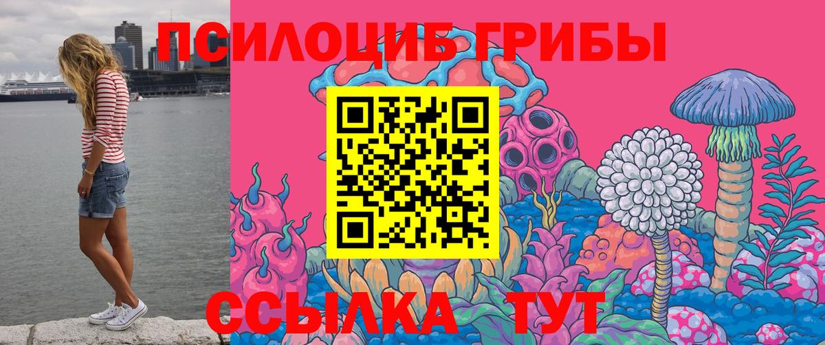 Псилоцибиновые грибы Magic Shrooms Избербаш