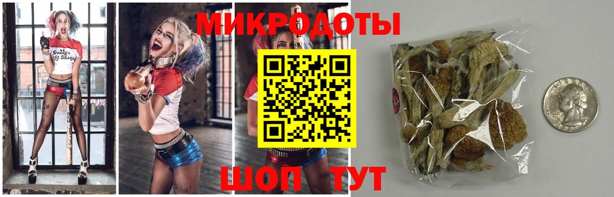 Псилоцибиновые грибы прущие грибы  Вход с VPN  Избербаш 